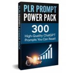 PLR-Prompt-Power-Pack-300-High-Quality-ChatGPT-Prompts